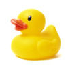 neduckie